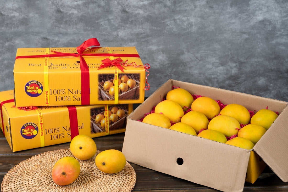 Packaged and open box of alphonso mangoes.