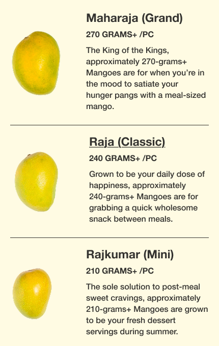 Mango Raja K3 Buy Alphonso Raja (Classic) Mangoes Online | Ratnagiri Alphonso – Dial ...