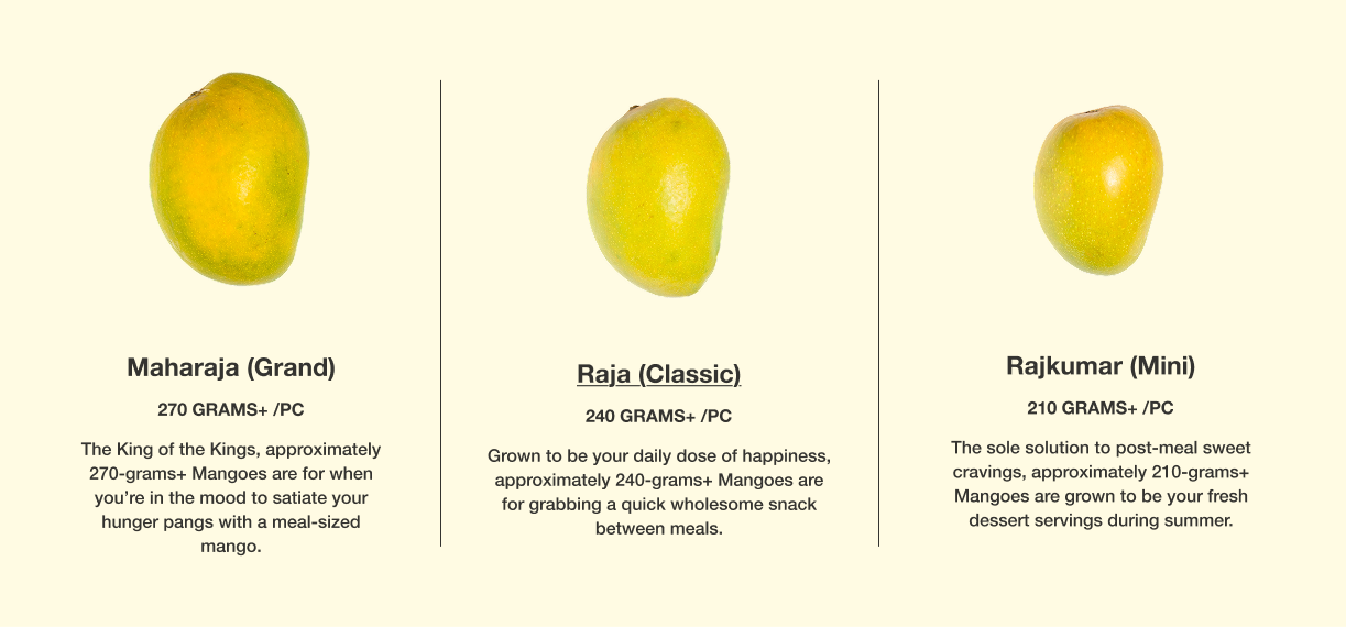 Mango Raja K3 Buy Alphonso Raja (Classic) Mangoes Online | Ratnagiri Alphonso – Dial ...