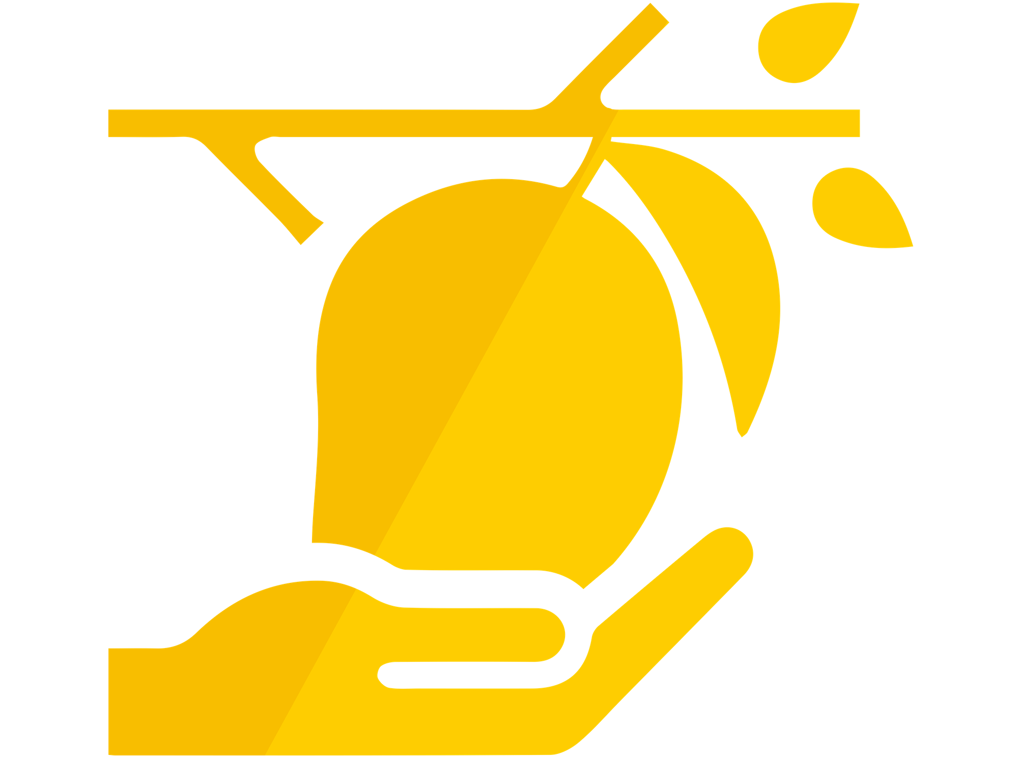 All our mangoes are sorted manually so that you receive the best, natural and farm-fresh mangoes.